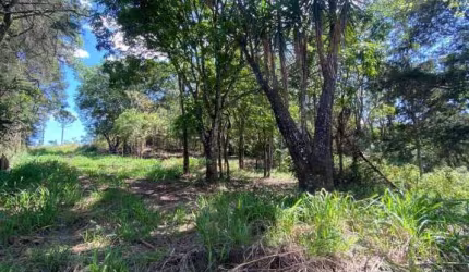 SÍTIO COM NASCENTE EM MEIO A UMA LINDA PAISAGEM EM IGARATÁ