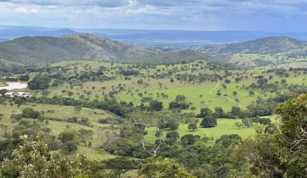 FAZENDA  EM VILA PROPÍCIO/GO  PROPRIEDADE RICA EM ÁGUA COM INFRAESTRUTURA COMPLETA PARA O MANEJO DE GADO