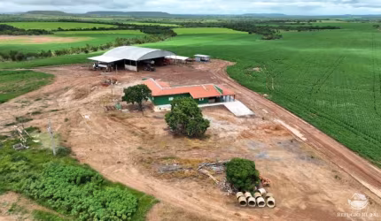 FAZENDA EXCELENTE PRÓXIMO A PARANATINGA/MT