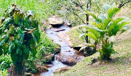 SÍTIO MARAVILHOSO COM LINDA VISTA EM MONTEIRO LOBATO/SP