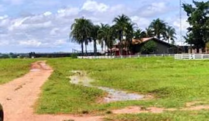 FAZENDA EXCELENTE EM NOVA LACERDA/MT