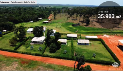 INCRÍVEL FAZENDA COM ÓTIMA INFRAESTRUTURA EM MUTUM/MT