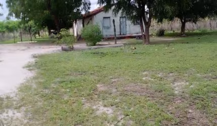FAZENDA DE 2.350 HECTARES EM MARPORÁ/BA - TERRA DE OPORTUNIDADE!