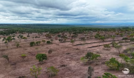 FAZENDA INCRÍVEL COM 850 HECTARES EM RIO NEGRO/MS