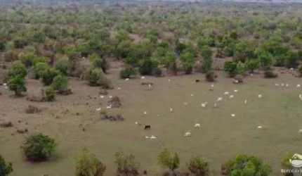 FAZENDA IMPERDÍVEL EM CORUMBÁ/MS