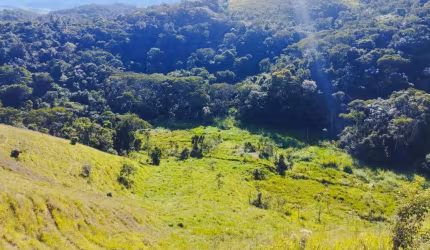 SÍTIO COM NASCENTES, PLATÔS NATURAIS E LINDA VISTA EM SÃO JOSÉ DOS CAMPOS/SP