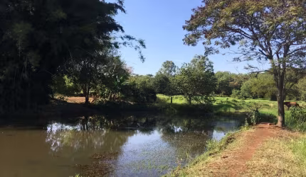 SÍTIO IMPERDÍVEL COM UMA LINDA PAISAGEM EM ITAMBARACÁ/PR