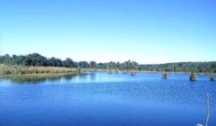 FAZENDA IMPERDÍVEL COM ÓTIMA LOGÍSTICA E LOCALIZAÇÃO EM ALTO TAQUARI/MT