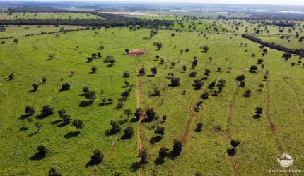 FAZENDA INCRÍVEL COM EXCELENTE ESTRUTURA E LOCALIZAÇÃO EM INOCÊNCIA/MS