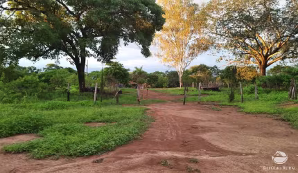 FAZENDA EXCELENTE EM BURITIZEIRO - MG