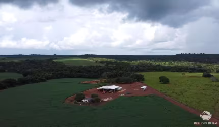 FAZENDA LINDÍSSIMA COM ÓTIMA ESTRUTURA EM PRIMAVERA DO LESTE/MT