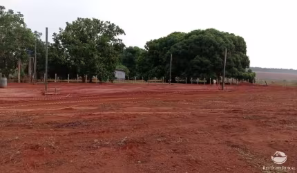 FAZENDA INCRÍVEL NO XINGU/MT