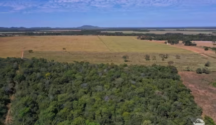 FAZENDA INCRÍVEL EM ALVORADA/TO