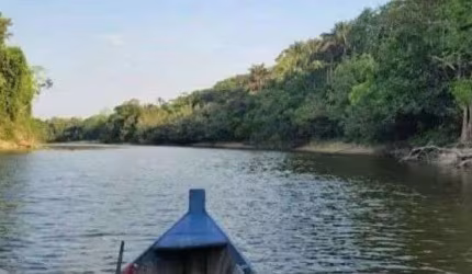 FAZENDA PAJURÁ VII COM MATA NATIVA EM NOVO ARIPUANÃ/AM