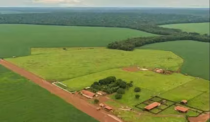 FAZENDA IMPERDÍVEL EM TABAPORÃ/MT