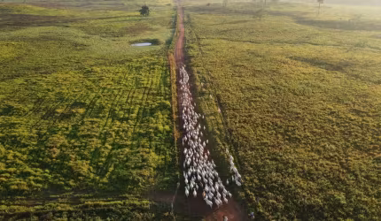 FAZENDA IMPERDÍVEL EM ITAITUBA/PA