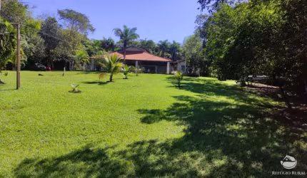 FAZENDA EXCELENTE EM FIGUEIRÃO/MS