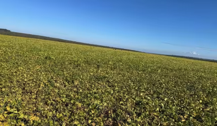 FAZENDA INCRÍVEL EM JOÃO PINHEIRO/MG