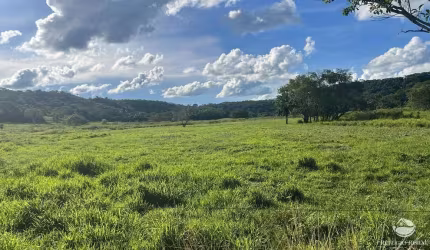FAZENDA EXTRA NO MUNICÍPIO DE GURINHATÃ/MG