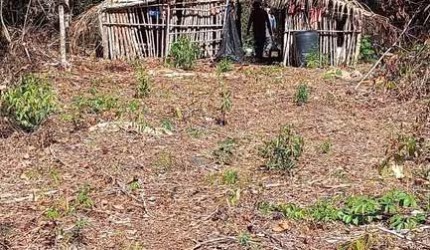 FAZENDA LOCALIZADA EM TESOURO/MT