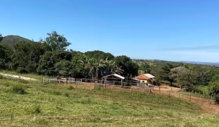 FAZENDA INCRÍVEL IDEAL PARA CRIAÇÃO DE GADO EM PARACATU/MG