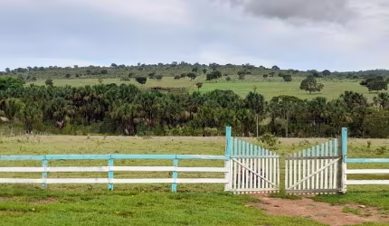 FAZENDA INCRÍVEL EM MINAÇU/GO
