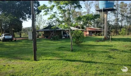 FAZENDA INCRÍVEL EM NAVIRAÍ/MS