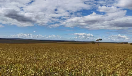 FAZENDA COMPLETA EM ÁGUA FRIA DE GOIÁS/GO
