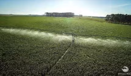 FAZENDA IMPERDÍVEL NO URUGUAI