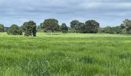FAZENDA PORTEIRA FECHADA EM COCALINHO/MT