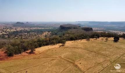 FAZENDA INCRÍVEL EM FIGUEIRÃO/MS
