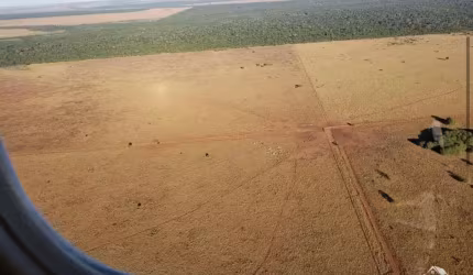 FAZENDA IMPERDÍVEL EM CANARANA/MT