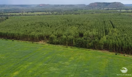 FAZENDA IMPERDÍVEL EM GOIATINS/TO