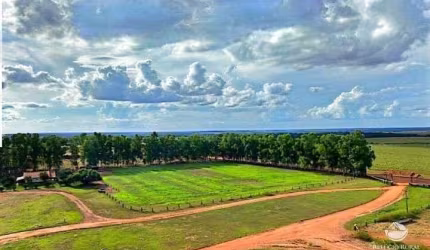 FAZENDA INCRÍVEL EM BRASNORTE/MT