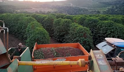 LINDA FAZENDA  PORTEIRA FECHADA EM LAVRAS/MG