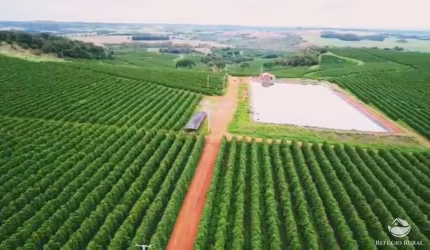 EXCELENTE FAZENDA DE CAFÉ EM PATOS DE MINAS/MG