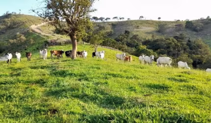 FAZENDA IMPERDÍVEL EM CUNHA/SP