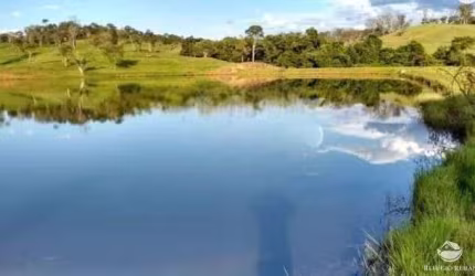 FAZENDA MAGNÍFICA EM SANTA BRANCA/SP
