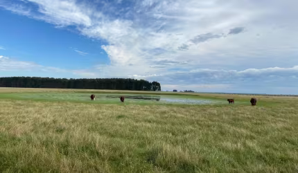 FAZENDA IMPERDÍVEL NO URUGUAI