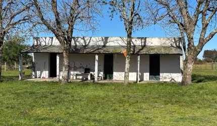 FAZENDA INCRÍVEL NO URUGUAI