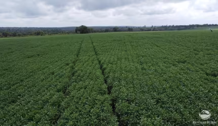 FAZENDA IMPERDÍVEL EM ARAGUAÍNA/TO