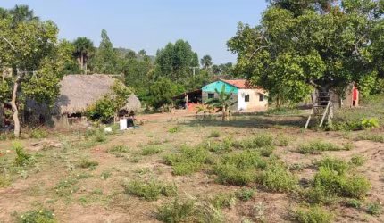 FAZENDA EXCELENTE EM LORETO/MA