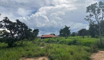 FAZENDA EXCELENTE EM  BURITIS/MG
