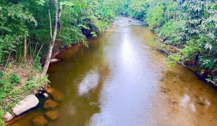 TERRENO INCRÍVEL COM LINDA VISTA EM SÃO FRANCISCO XAVIER