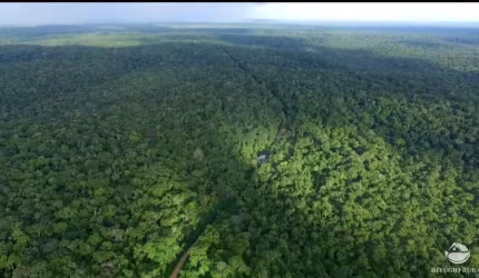 FAZENDA ESPETACULAR EM PAUINI/AM
