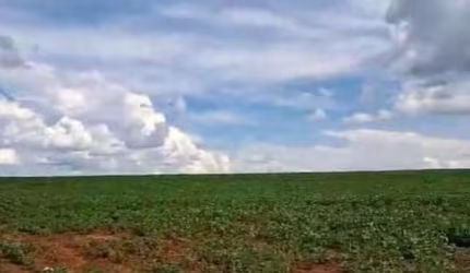 FAZENDA EM MORRINHOS/GO - EXCELENTE OPORTUNIDADE DE INVESTIMENTO