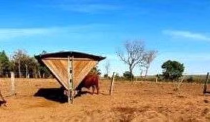 FAZENDA  PARA PECUÁRIA IMPERDÍVEL EM SÃO VALÉRIO DA NATIVIDADE/TO
