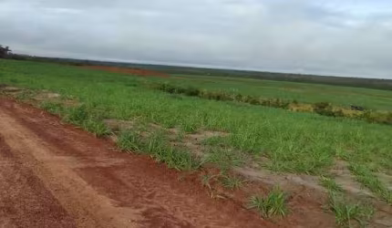 FAZENDA EXCELENTE COM ÓTIMA ESTRUTURA LOCALIZADA EM CENTENÁRIO/TO