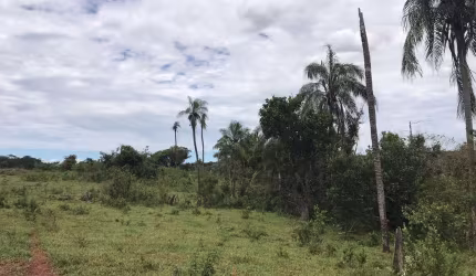FAZENDA INCRÍVEL EM FIGUEIRÃO/MS