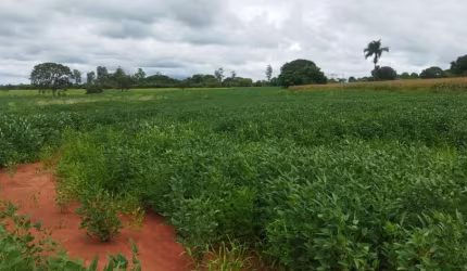 SÍTIO EM FRUTAL/MG - EXCELENTE OPORTUNIDADE DE INVESTIMENTO!
